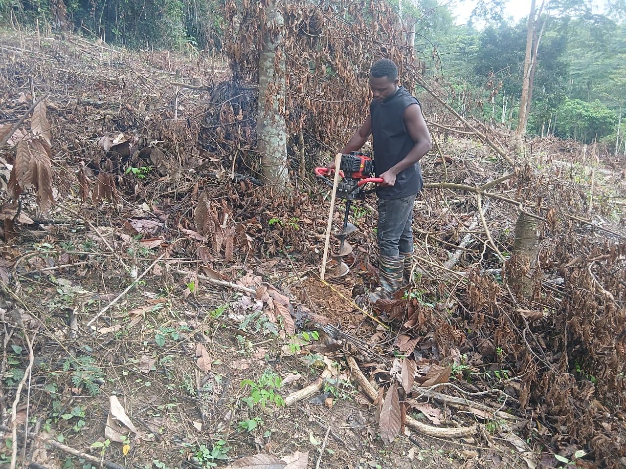 Worker using a motorised earth auger to dig a planting hole