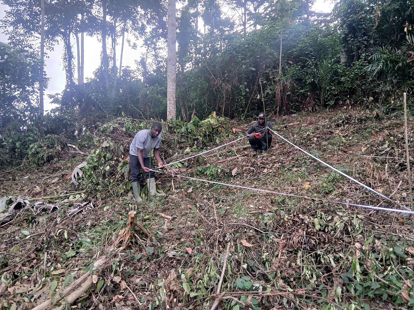 Two Gadak workers stretching a measuring tape across a cleared plot