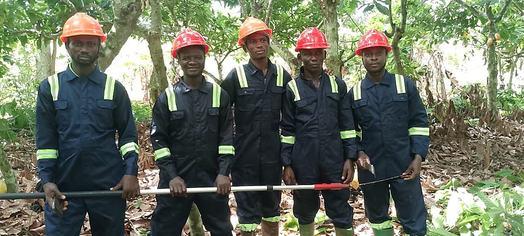 Five Gadak field workers in overalls and orange helmets holding a pole pruner in a cocoa farm